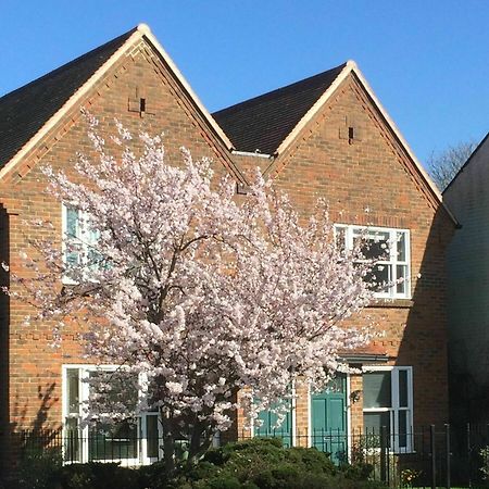 3 Summertown Court オックスフォード エクステリア 写真