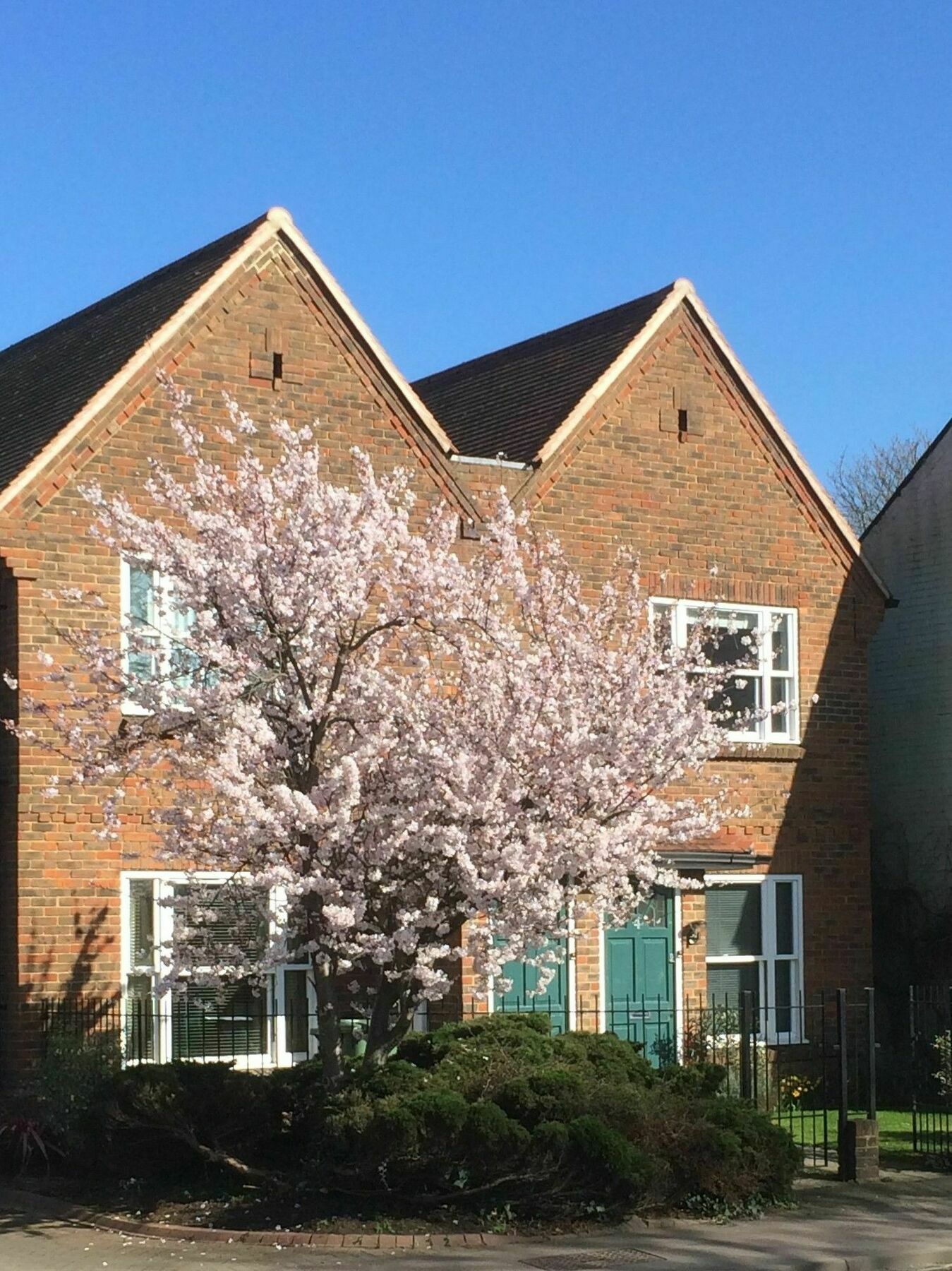 3 Summertown Court オックスフォード エクステリア 写真